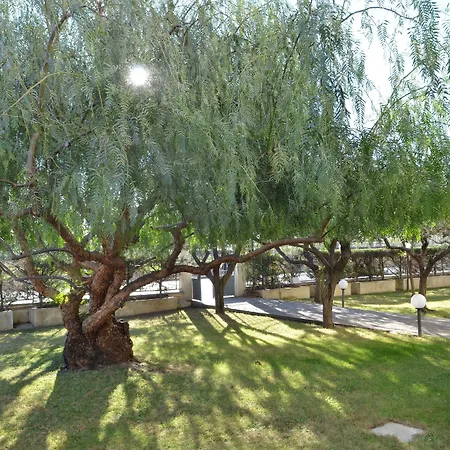 아파트호텔 Carmen Fronte Mare A 50 Mt 피에트라리구레