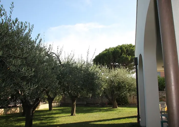 Carmen Fronte Mare A 50 Mt 4* 皮特拉利古