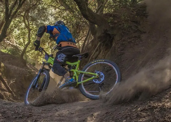 Carmen Fronte Mare A 50 Mt