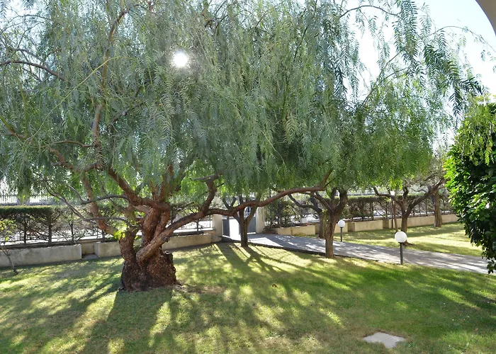 公寓式酒店 Carmen Fronte Mare A 50 Mt 皮特拉利古