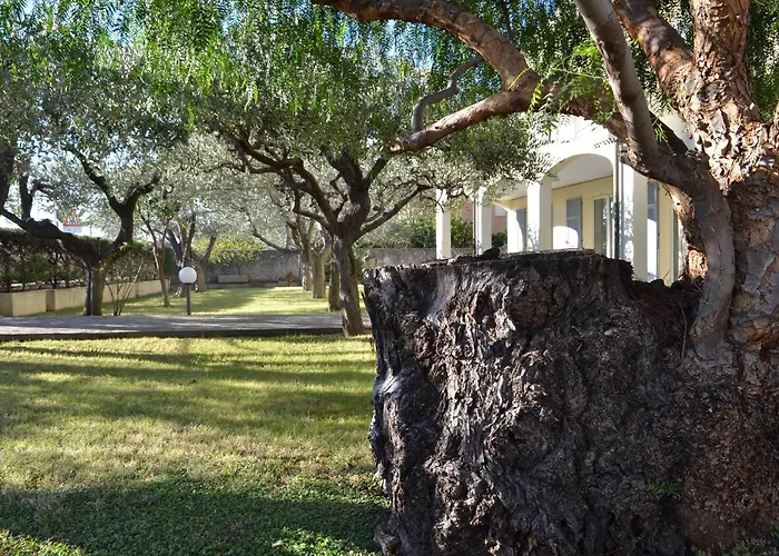 公寓式酒店 Carmen Fronte Mare A 50 Mt 4*